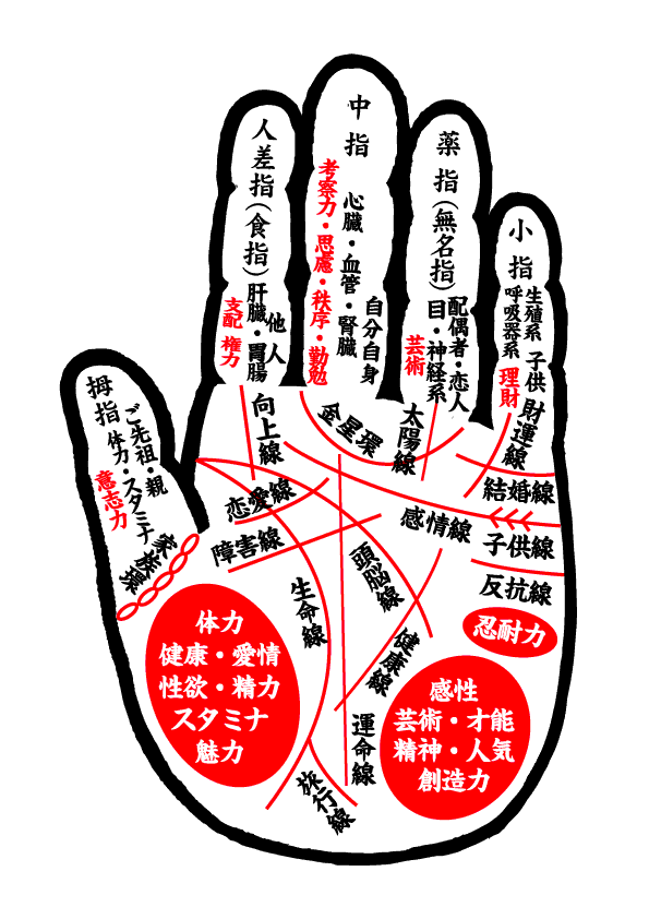 開運占い　手相之図